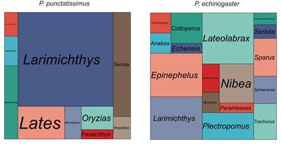 Whole-genome survey reveals interspecific differences in genomic characteristics and evolution of Pampus fish